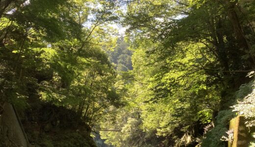 散歩の効果～奥多摩散策